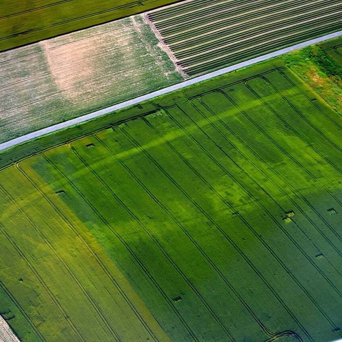 Photo de Site archéologique de la Croix de la Pierre à Beaulieu